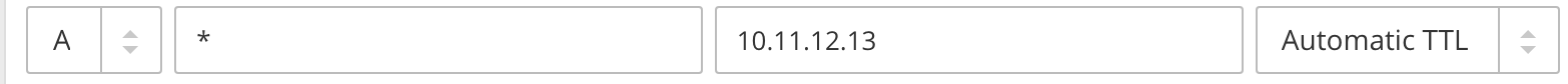 DNS record for *.raymondcheng.net